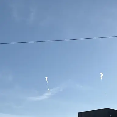 Profile image of 나다니엘