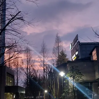 Profile image of 잠뜰