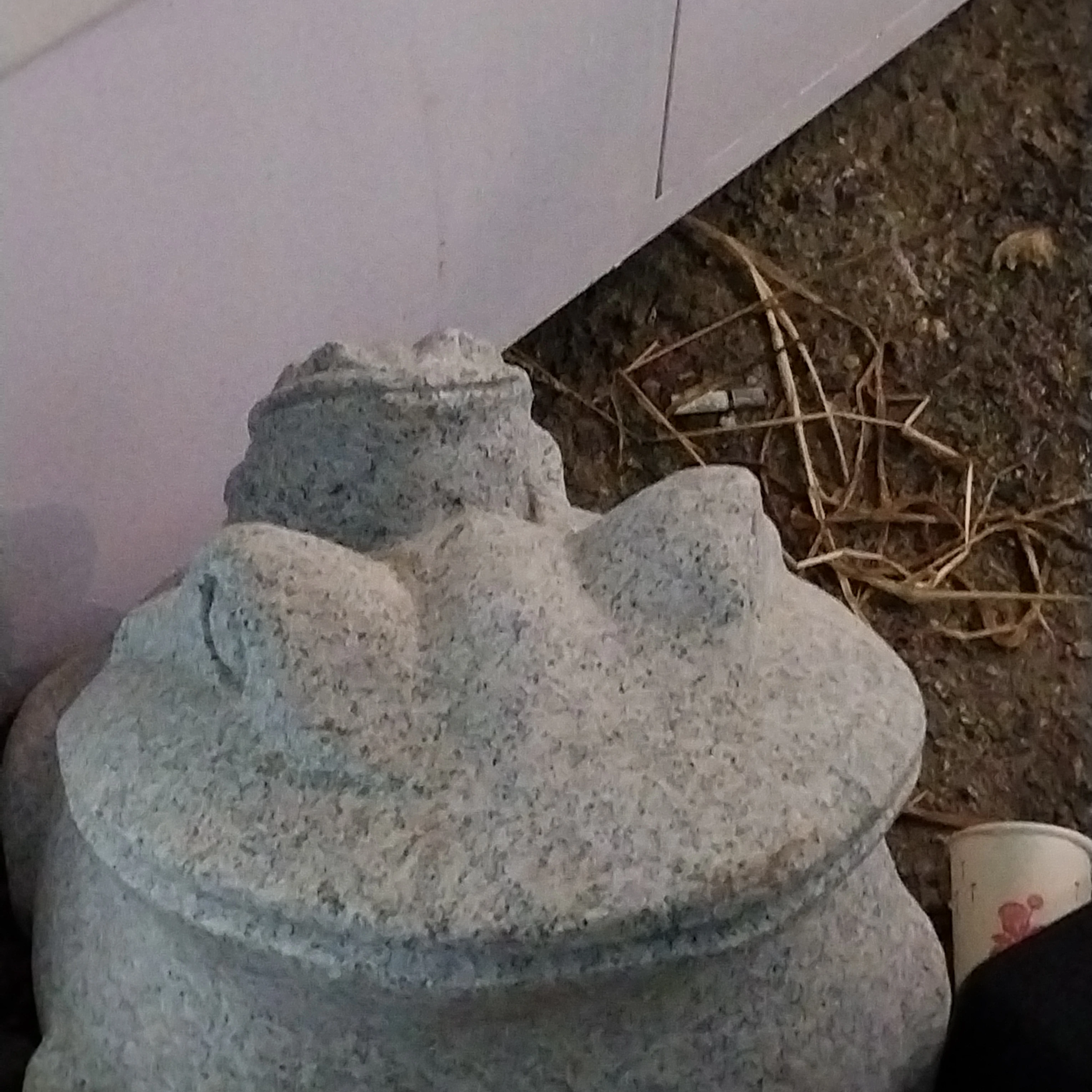 서준