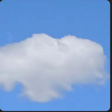 Profile image of 여우