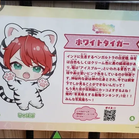 miko0412의 からぴちに新メンバーが2人！？