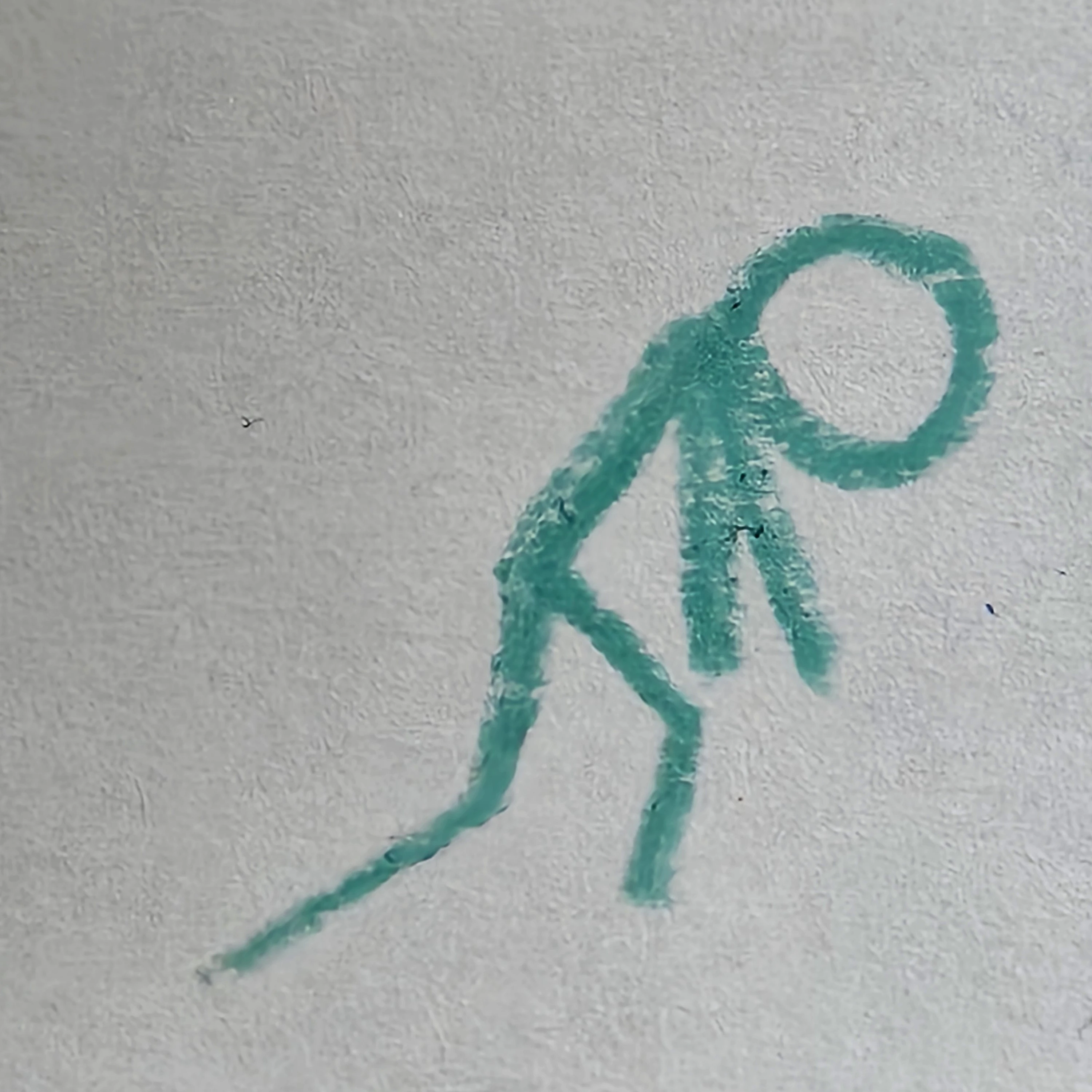 권상현