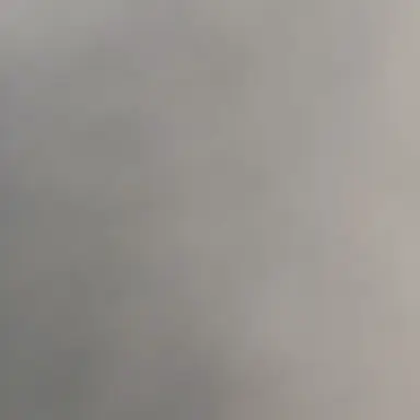 Profile image of 이용한