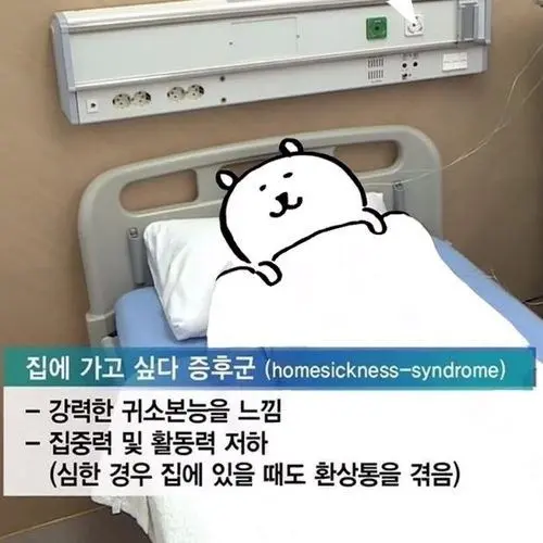 UnfitMacaw9143의 회사원 농담곰