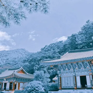 Profile image of 파이브