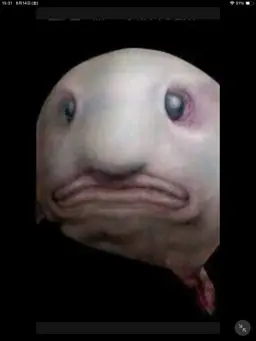 Profile image of ブリ子