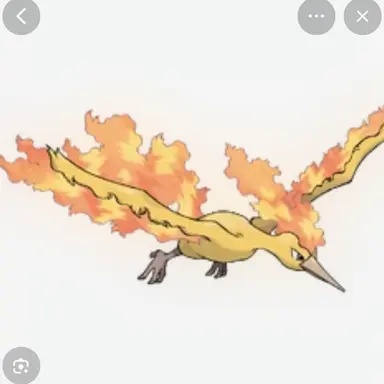 Profile image of 파이어