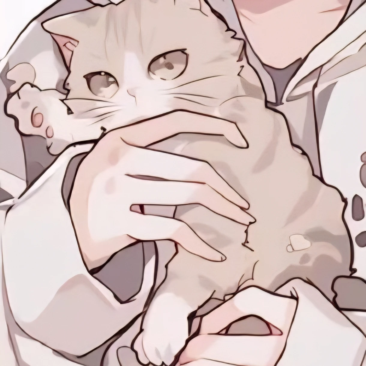 고양이_메리