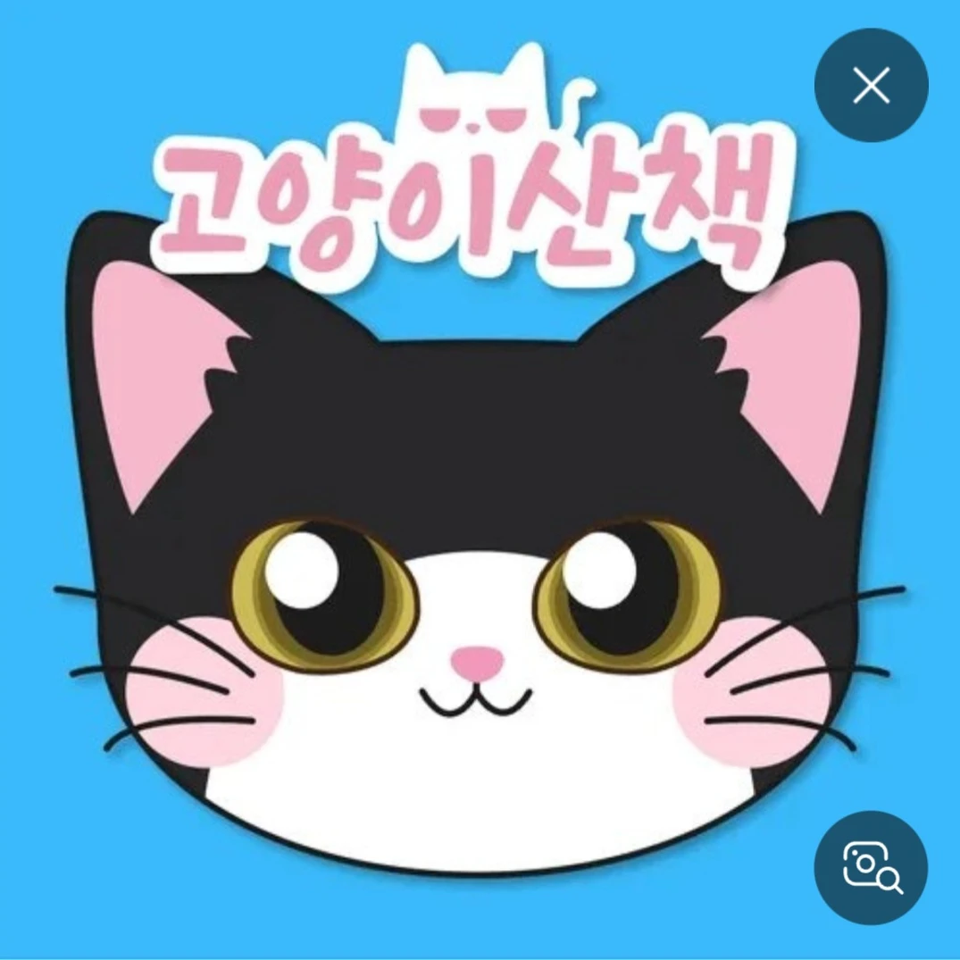 고양이 산책