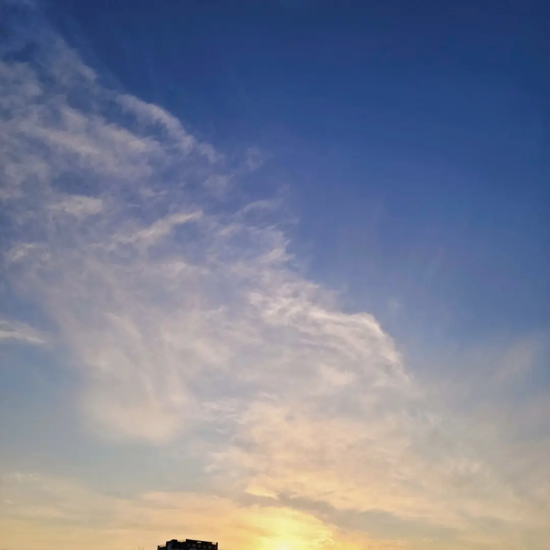 Tongtongtongsahur의 이해인