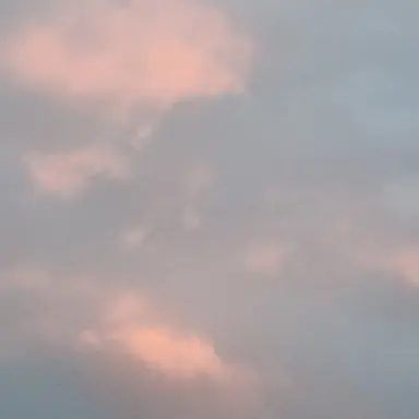 Profile image of 태 산