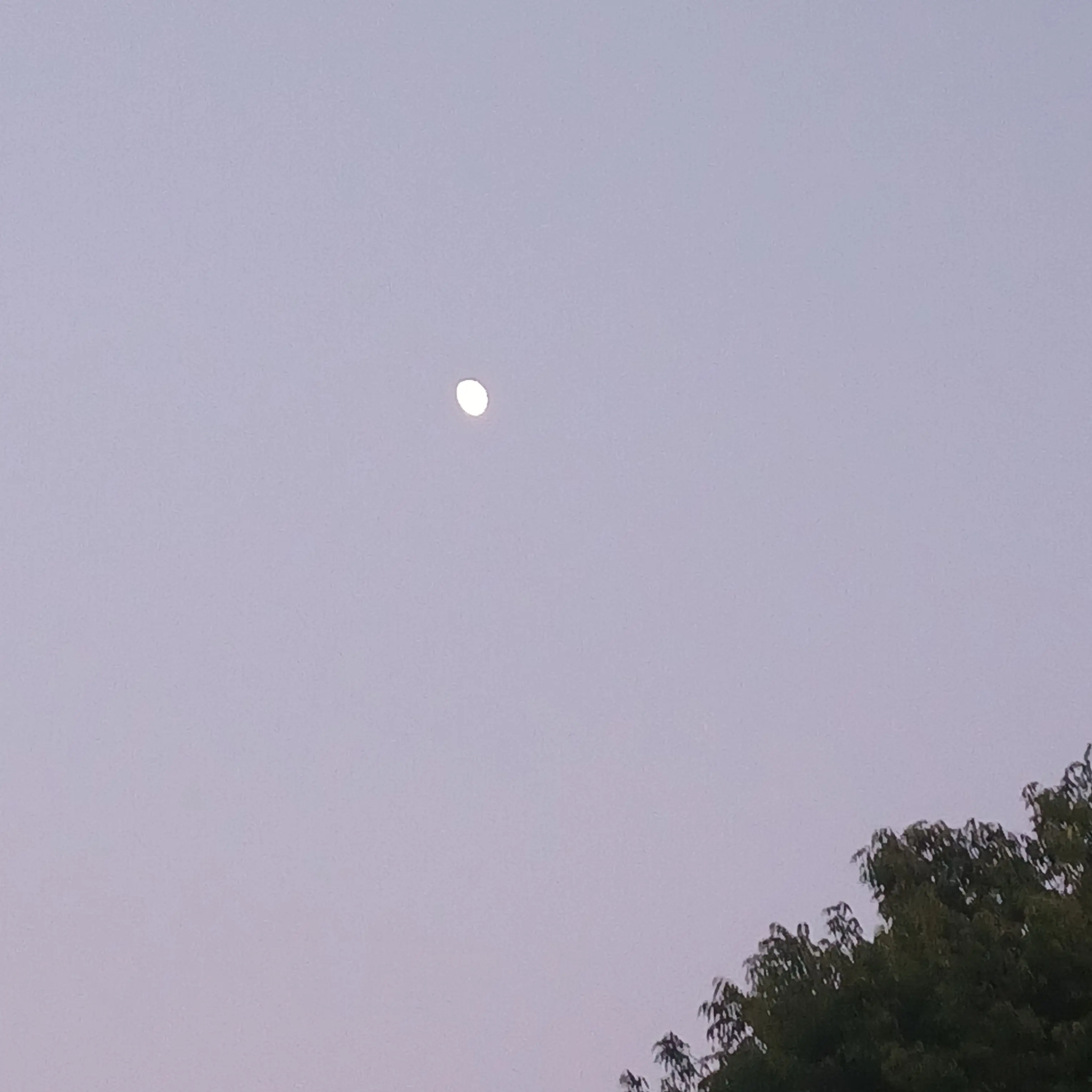 WornRule1486의 역사(한국사)