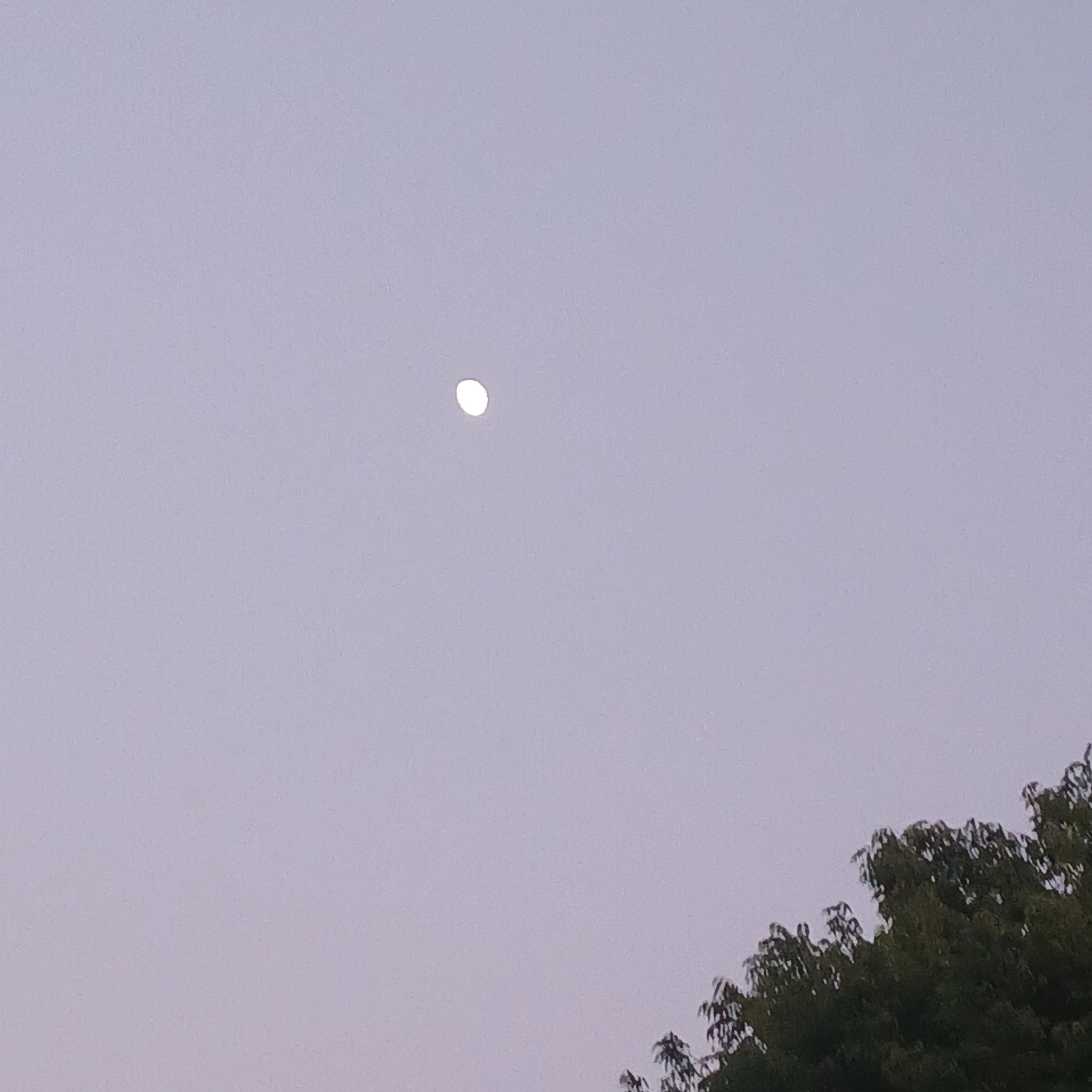 역사