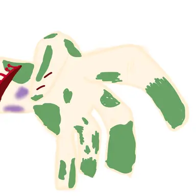Profile image of 라더