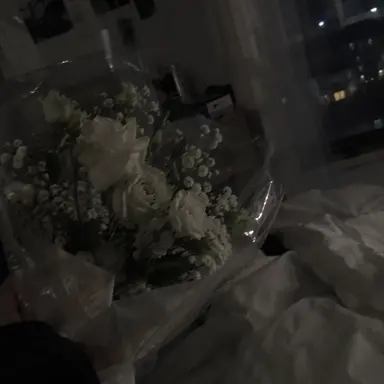 Profile image of 묘지인