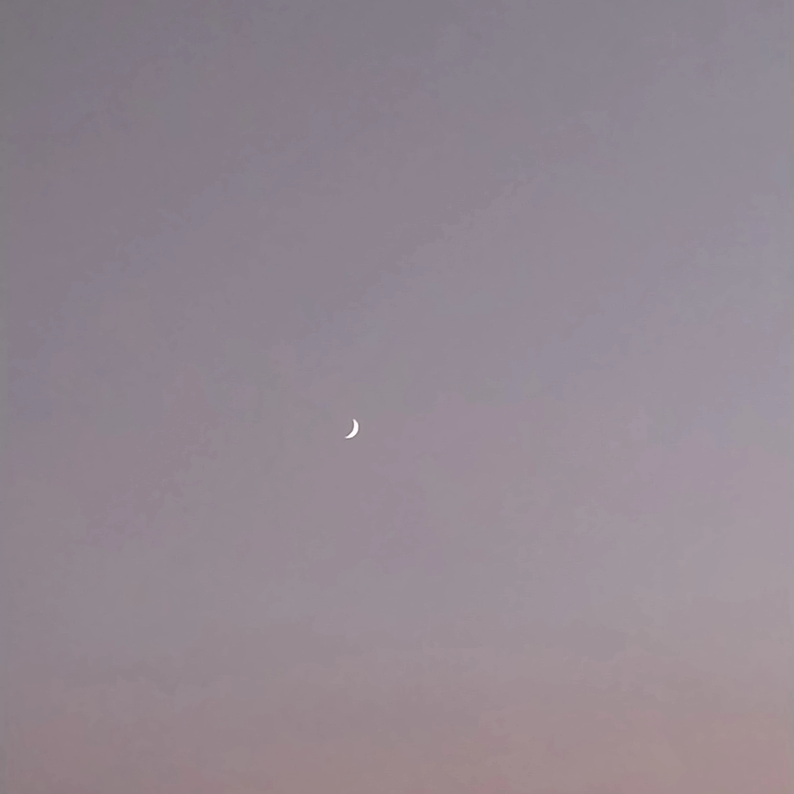 내레이션