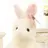 핑이