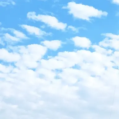 Profile image of 대원2