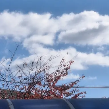 Profile image of 대원1