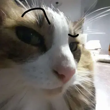 Profile image of 9팀의나머지 대원들