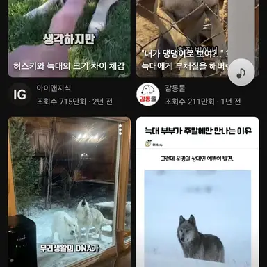 Profile image of 늑대