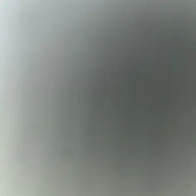 Profile image of 井上