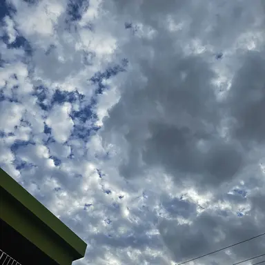 Profile image of 강아림