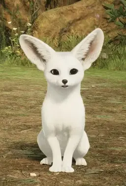 Profile image of Kuuta