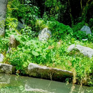 Profile image of 母親