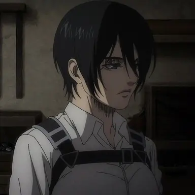 Profile image of Mikasa