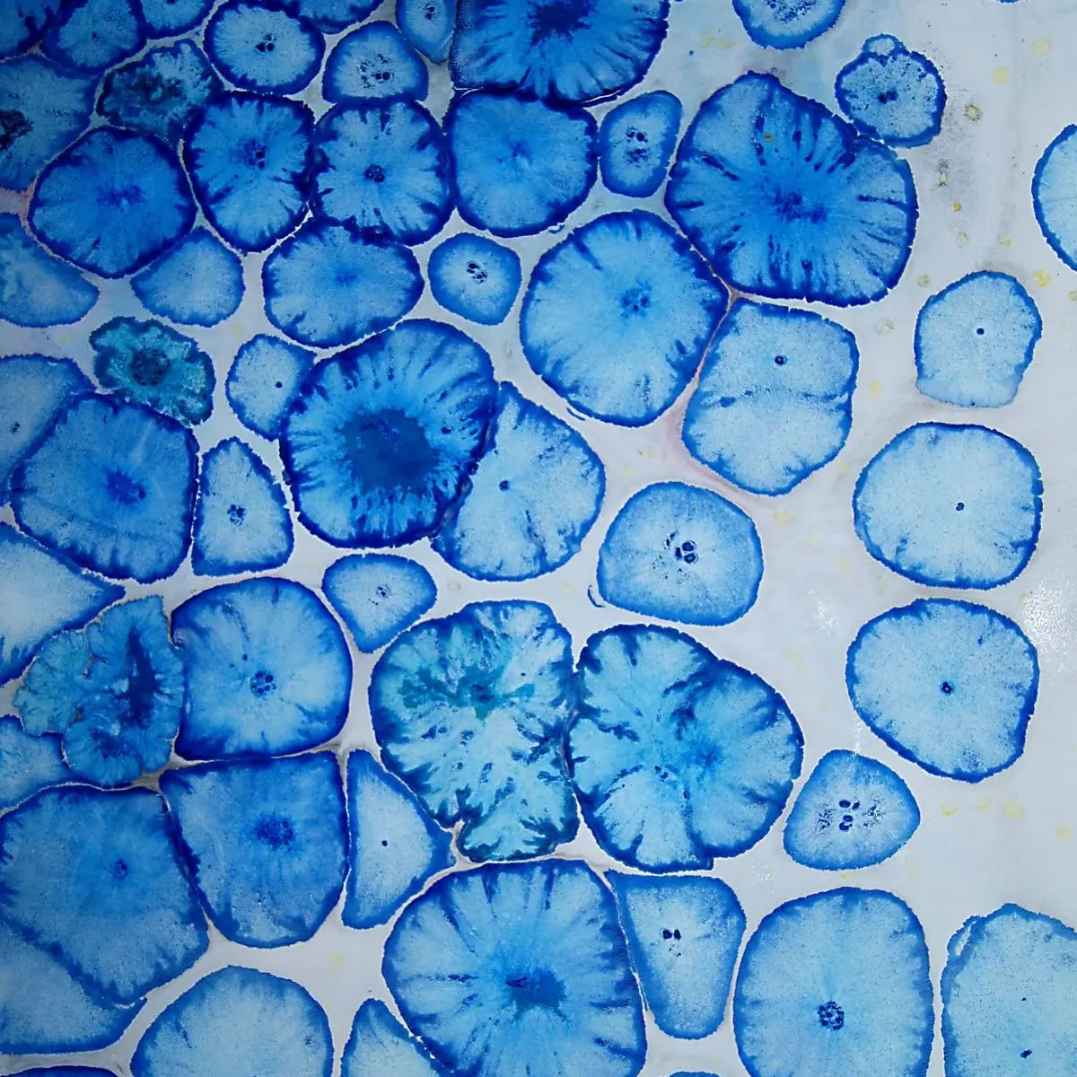 HurtChili1532의 미치광이 박사