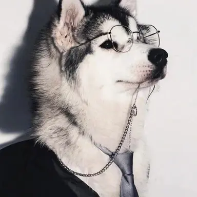 Profile image of 파렐