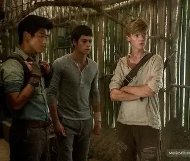 Profile image of the ivy trio