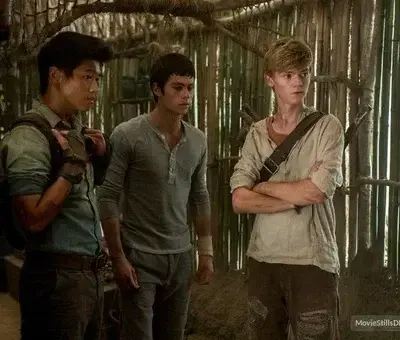 NarrowTree9076의 the ivy trio