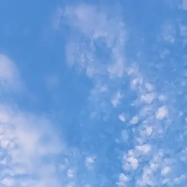 Profile image of 수현