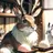 兎の餅つき屋さん