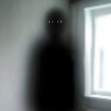 Profile image of C