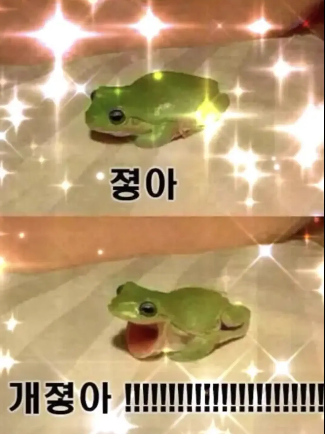 Sol.la의 친한 애들과 동거인데 싸운다..
