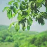 Profile image of 공룡