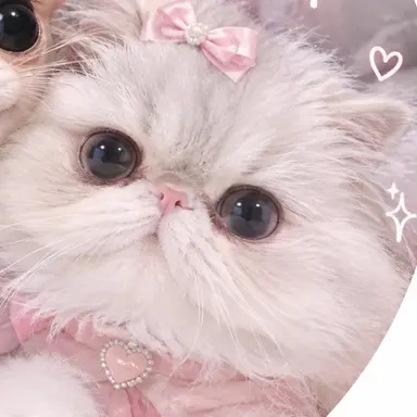 Profile image of 루이