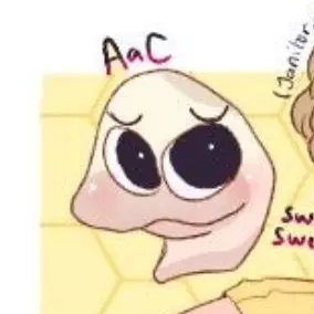 Profile image of 양말