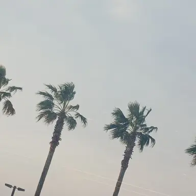 Profile image of 정태훈