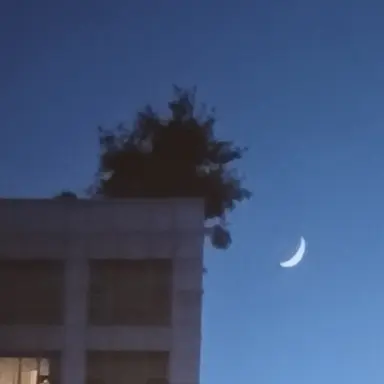 Profile image of 김재원