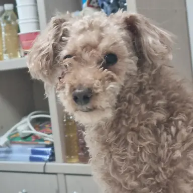 Profile image of 그냥 하고싶어