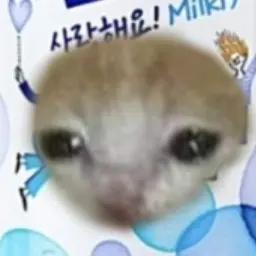 shleebeta의 고먐미