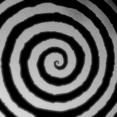 Profile image of 伊波ライ