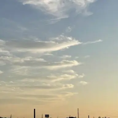 Profile image of 優斗