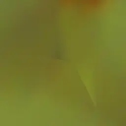 Profile image of トニ