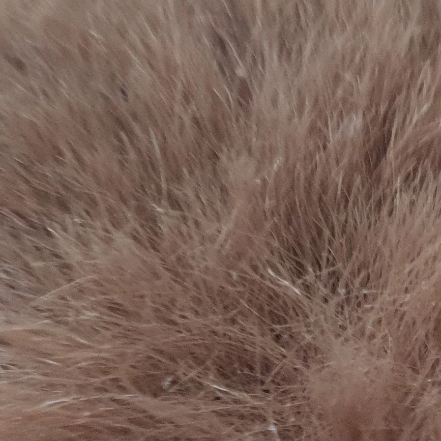 이지훈