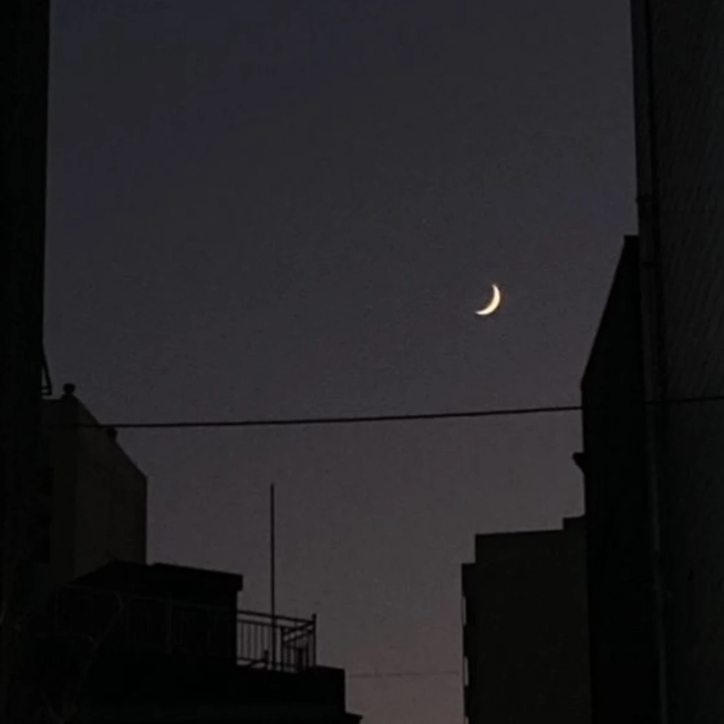 신아림